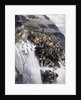 Suvorov's Army Crossing the Alps in 1799, 1899 by Vasilij Ivanovic Surikov