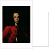 Portrait of the Tsarevich Alexei Petrovich 1710 by Gottfried Danhauer