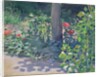Study of Poppies in the Garden, 1894 by Viktor Elpidiforovich Borisov-Musatov