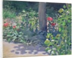 Study of Poppies in the Garden, 1894 by Viktor Elpidiforovich Borisov-Musatov