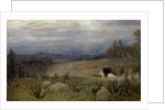 Siberia, 1894 by Apollinari Mikhailovich Vasnetsov