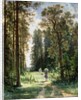 The Path through the Woods, 1880 by Ivan Ivanovich Shishkin