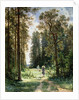 The Path through the Woods, 1880 by Ivan Ivanovich Shishkin