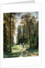The Path through the Woods, 1880 by Ivan Ivanovich Shishkin