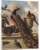 Birds in the Park by Melchior de Hondecoeter