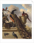 Birds in the Park by Melchior de Hondecoeter
