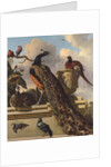 Birds in the Park by Melchior de Hondecoeter