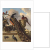 Birds in the Park by Melchior de Hondecoeter