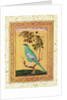 Green Bird, Mughal by Indian School