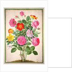 ose by Johann Jakob Walther