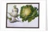 Turnip, Cabbage by Claude Aubriet