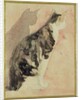 Study of a Cat by Gwen John