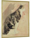 Study of a Cat by Gwen John