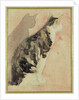 Study of a Cat by Gwen John