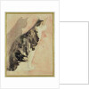 Study of a Cat by Gwen John
