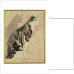 Study of a Cat by Gwen John