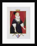 Portrait of Lady Catherine Grey Countess of Kent by Sarah Countess of Essex