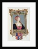 Portrait of Anne Boleyn 2nd Queen of Henry VIII, as a Young Woman from 'Memoirs of the Court of Queen Elizabeth'. by Sarah Countess of Essex