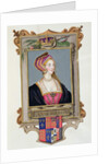 Portrait of Anne Boleyn 2nd Queen of Henry VIII, as a Young Woman from 'Memoirs of the Court of Queen Elizabeth'. by Sarah Countess of Essex