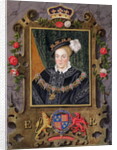 Portrait of Edward VI King of England, aged about 14 by Sarah Countess of Essex
