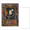 Portrait of Edward VI King of England, aged about 14 by Sarah Countess of Essex