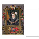 Portrait of Edward VI King of England, aged about 14 by Sarah Countess of Essex