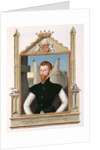 Portrait of Edward Courtenay Last Earl of Devonshire from 'Memoirs of the Court of Queen Elizabeth'. by Sarah Countess of Essex
