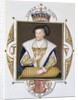 Portrait of James V King of Scotland by Sarah Countess of Essex