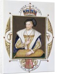 Portrait of James V King of Scotland by Sarah Countess of Essex