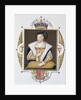 Portrait of James V King of Scotland by Sarah Countess of Essex