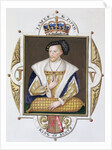 Portrait of James V King of Scotland by Sarah Countess of Essex
