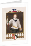 Portrait of Sir Francis Vere by Sarah Countess of Essex