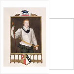 Portrait of Sir Francis Vere by Sarah Countess of Essex