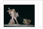 Cupid led by butterflies by Michelangelo Maestri