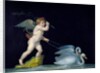 Cupid being led by a pair of swans by Michelangelo Maestri