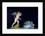 Cupid being led by a pair of swans by Michelangelo Maestri