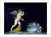Cupid being led by a pair of swans by Michelangelo Maestri