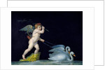 Cupid being led by a pair of swans by Michelangelo Maestri