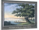 The Great Tree of Kingston with a view of Philadelphia behind by C.A. During