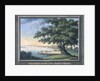 The Great Tree of Kingston with a view of Philadelphia behind by C.A. During