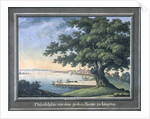 The Great Tree of Kingston with a view of Philadelphia behind by C.A. During