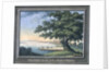 The Great Tree of Kingston with a view of Philadelphia behind by C.A. During