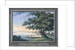 The Great Tree of Kingston with a view of Philadelphia behind by C.A. During