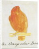 The Orange Colour Bird by Edward Lear