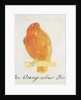 The Orange Colour Bird by Edward Lear