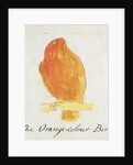 The Orange Colour Bird by Edward Lear
