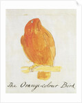 The Orange Colour Bird by Edward Lear