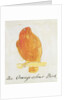 The Orange Colour Bird by Edward Lear