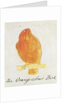 The Orange Colour Bird by Edward Lear