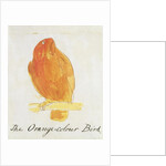 The Orange Colour Bird by Edward Lear